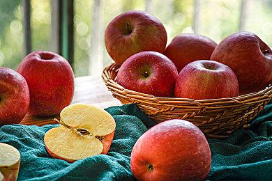 《魔法使之夜》重制版“苍崎青子”角色预告片分享